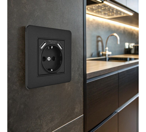 Розетка с заземлением и со шторкой и 2хUSB Arte Milano SET16-1 SET16-1-47-1 black