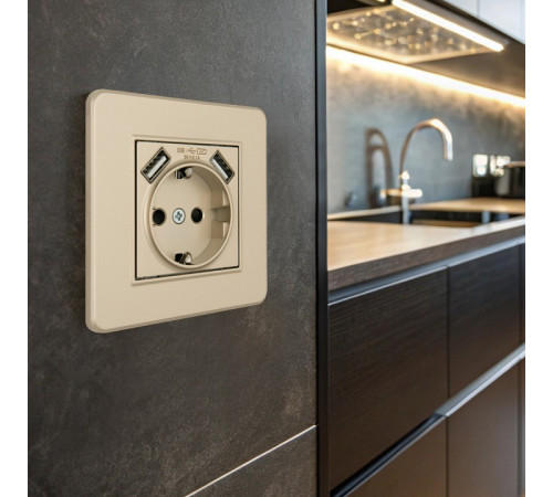 Розетка с заземлением и со шторкой и 2хUSB Arte Milano SET16-1 SET16-1-47-1 shampan