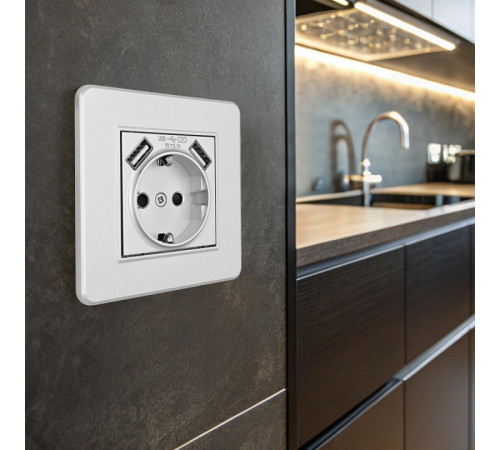 Розетка с заземлением и со шторкой и 2хUSB Arte Milano SET16-1 SET16-1-47-1 silver