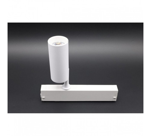 Светильник на штанге Aployt Magnetic track 220 APL.0205.10.10