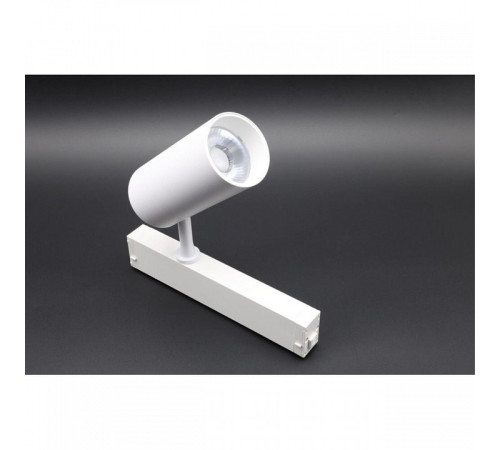 Светильник на штанге Aployt Magnetic track 220 APL.0205.10.20