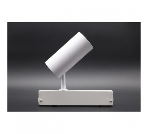 Светильник на штанге Aployt Magnetic track 220 APL.0205.10.20