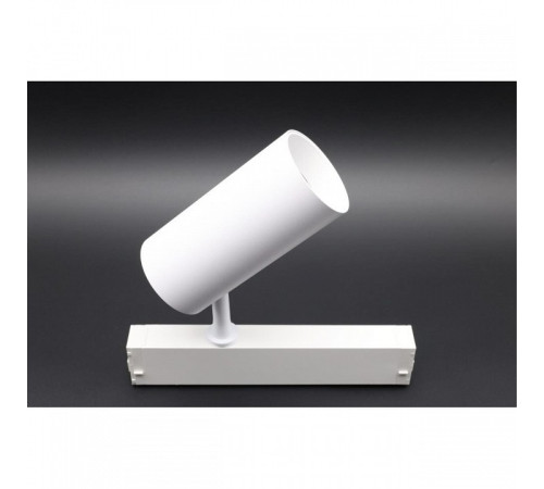 Светильник на штанге Aployt Magnetic track 220 APL.0205.10.20