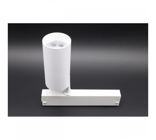 Светильник на штанге Aployt Magnetic track 220 APL.0205.10.20