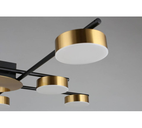 Потолочная люстра Aployt Delayn APL.042.07.56