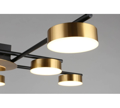 Потолочная люстра Aployt Delayn APL.042.07.56