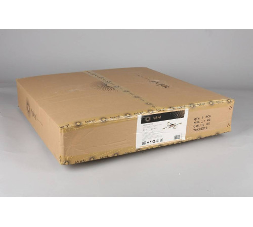 Потолочная люстра Aployt Delayn APL.042.07.56