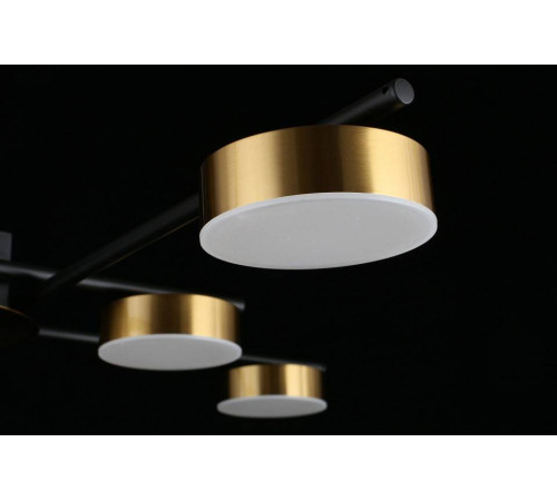 Потолочная люстра Aployt Delayn APL.042.07.56