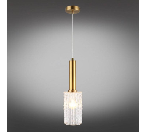 Подвесной светильник Aployt Henrite APL.310.06.01