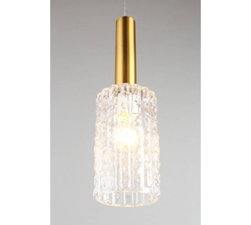 Подвесной светильник Aployt Henrite APL.310.06.01