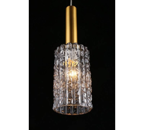 Подвесной светильник Aployt Henrite APL.310.16.01