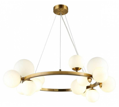 Подвесная люстра Aployt Letizia APL.314.03.14
