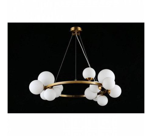 Подвесная люстра Aployt Letizia APL.314.03.14