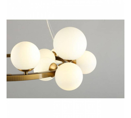 Подвесная люстра Aployt Letizia APL.314.03.14