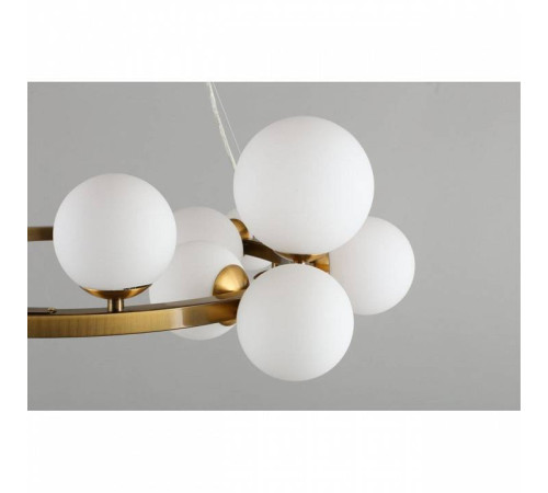 Подвесная люстра Aployt Letizia APL.314.03.14