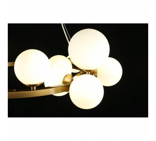 Подвесная люстра Aployt Letizia APL.314.03.14