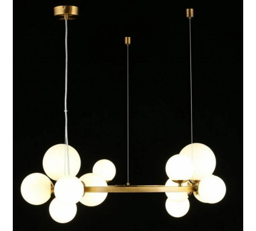 Подвесная люстра Aployt Letizia APL.314.03.14