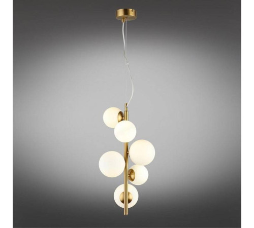 Подвесная люстра Aployt Letizia APL.314.06.06