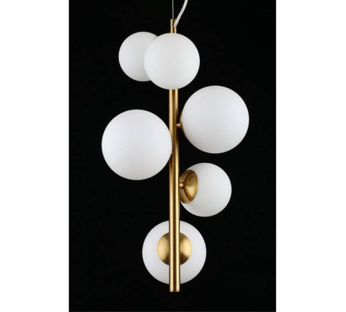 Подвесная люстра Aployt Letizia APL.314.06.06