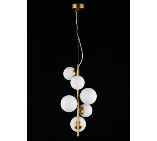 Подвесная люстра Aployt Letizia APL.314.06.06