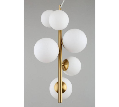 Подвесная люстра Aployt Letizia APL.314.06.06