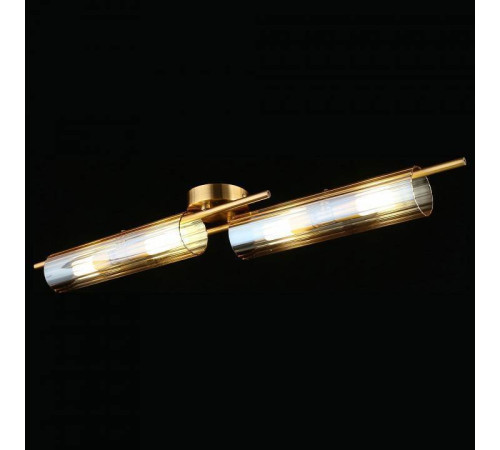 Накладной светильник Aployt Lusia APL.315.07.04