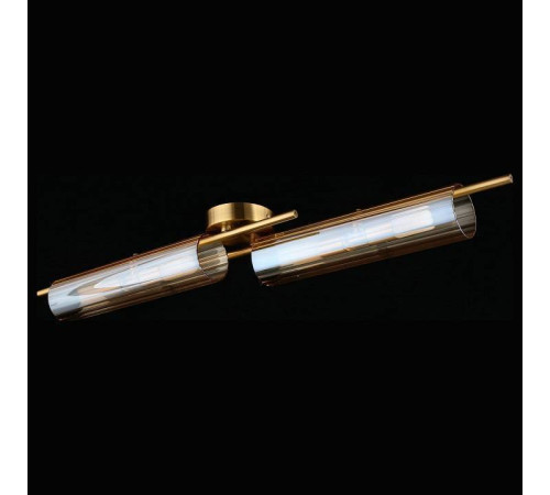 Накладной светильник Aployt Lusia APL.315.07.04