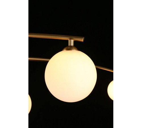 Люстра на штанге Aployt Ewelina APL.621.07.06