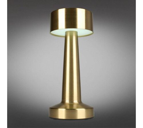 Настольная лампа декоративная Aployt Perrayn APL.671.04.01