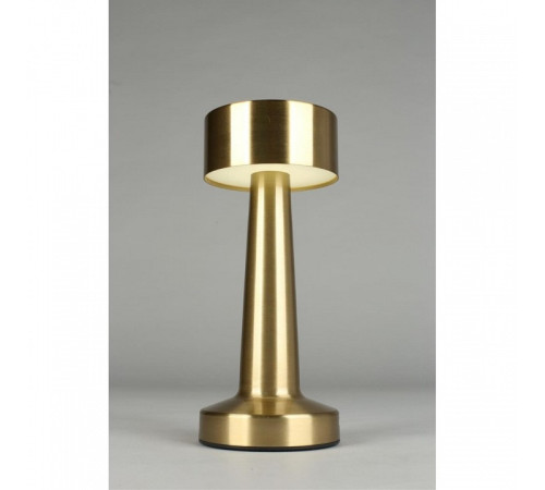 Настольная лампа декоративная Aployt Perrayn APL.671.04.01