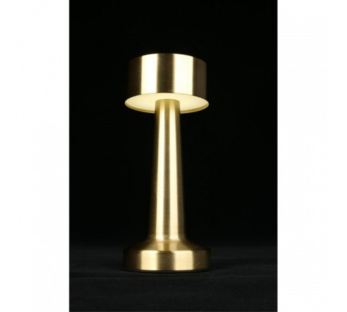 Настольная лампа декоративная Aployt Perrayn APL.671.04.01