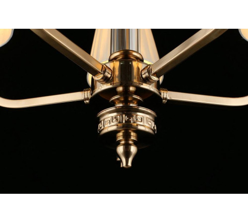 Подвесная люстра Aployt Patricia APL.716.13.05