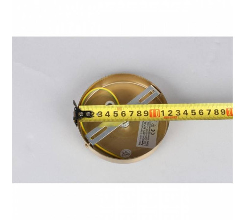 Подвесной светильник Aployt Aleksandra APL.857.06.20