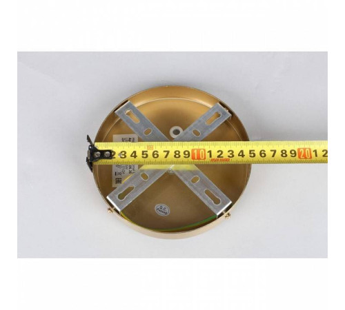 Подвесной светильник Aployt Aleksandra APL.857.06.60