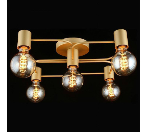 Потолочная люстра Aployt Elison APL.911.07.05