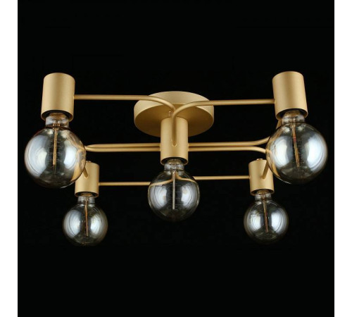 Потолочная люстра Aployt Elison APL.911.07.05