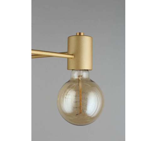 Потолочная люстра Aployt Elison APL.911.07.05