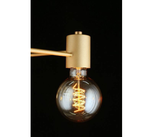 Потолочная люстра Aployt Elison APL.911.07.05