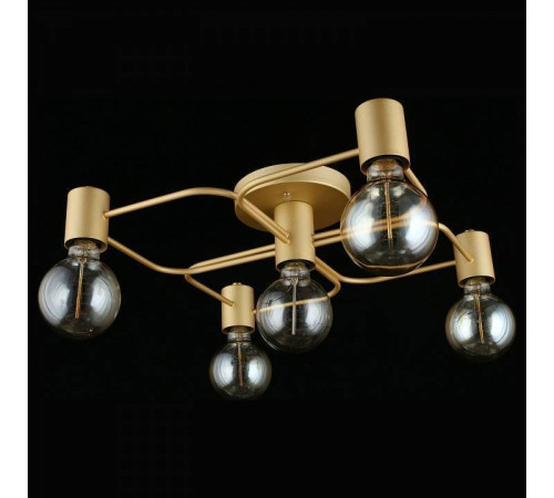 Потолочная люстра Aployt Elison APL.911.07.05