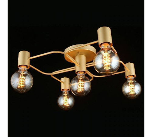 Потолочная люстра Aployt Elison APL.911.07.05