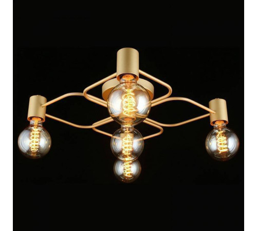 Потолочная люстра Aployt Elison APL.911.07.05