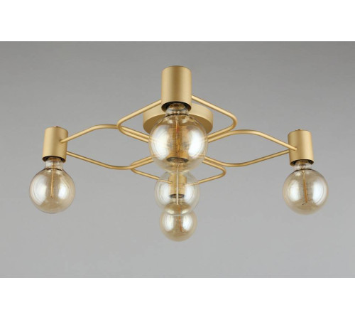 Потолочная люстра Aployt Elison APL.911.07.05