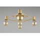 Потолочная люстра Aployt Elison APL.911.07.05