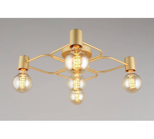 Потолочная люстра Aployt Elison APL.911.07.05