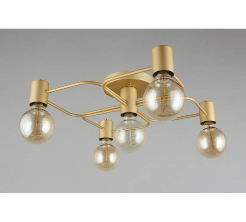 Потолочная люстра Aployt Elison APL.911.07.05