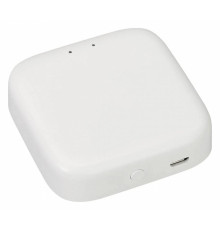 Конвертер Wi-Fi для смартфонов и планшетов Arlight TUYA 26175