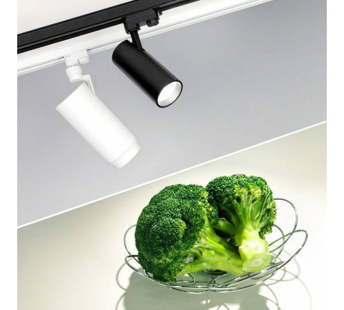 Светильник на штанге Arlight ZEUS FOOD 032449