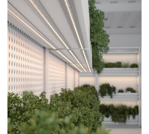 Лента светодиодная Arlight FITOLUX 038170