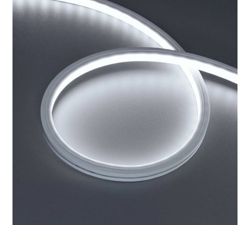 Лента светодиодная Arlight THOR 045322