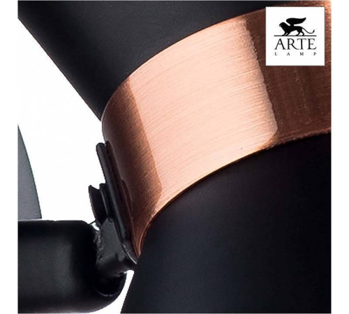Спот Arte Lamp Baltimore A1406AP-1BK